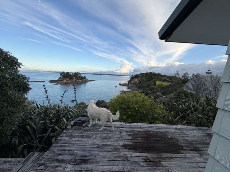 18 South Pacific Road Rakino Island_9