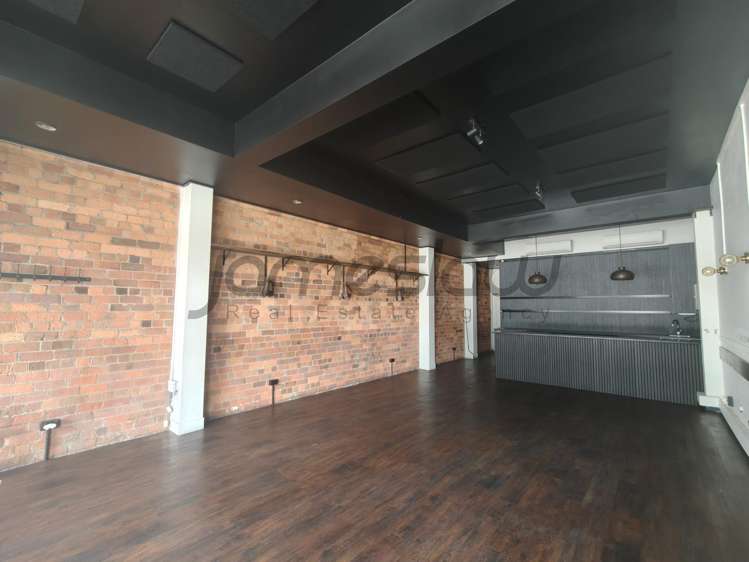 14 Ponsonby Road Grey Lynn_5