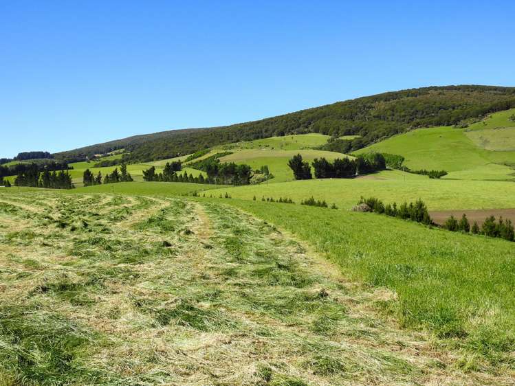 1101+1028 Otautau Tuatapere Road Merrivale_24