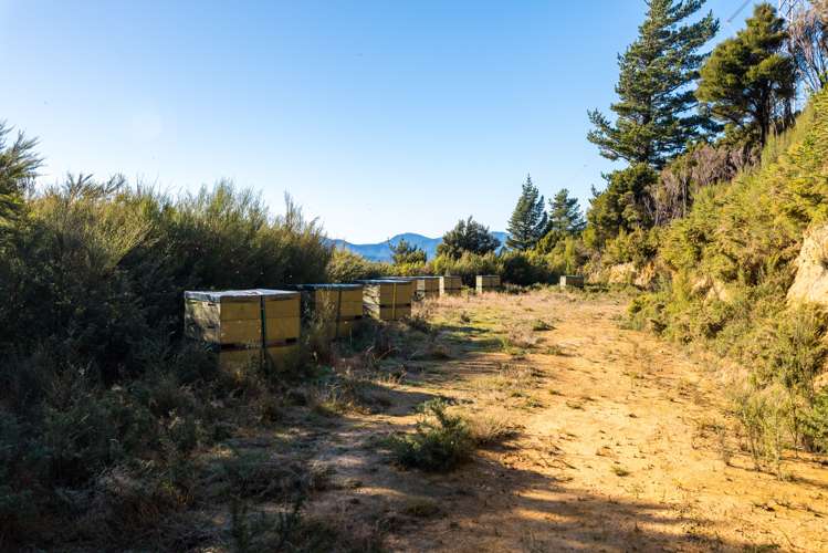 2464 Port Underwood Road Port Underwood_21