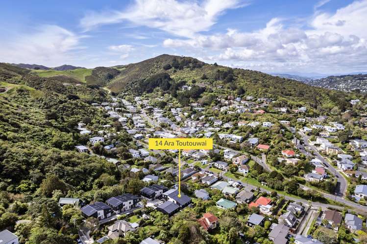 14 Ara Toutouwai Karori_18