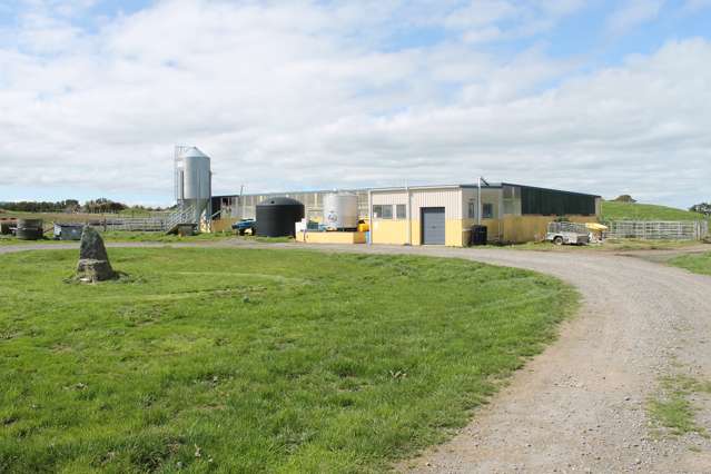 95 ha - Dairy farm with lease to buy option