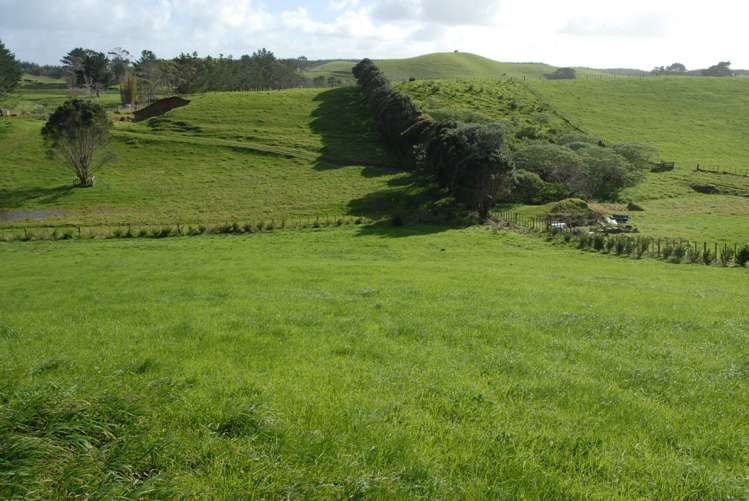 330 West Coast Road Awanui_11