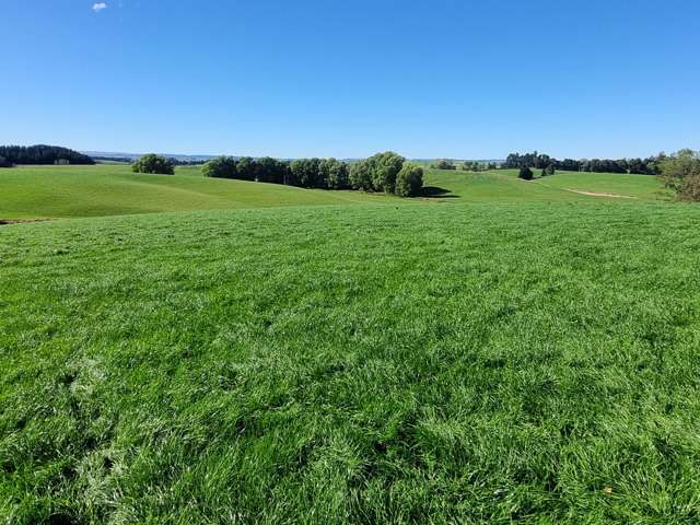 Quality Land with Purchase Options