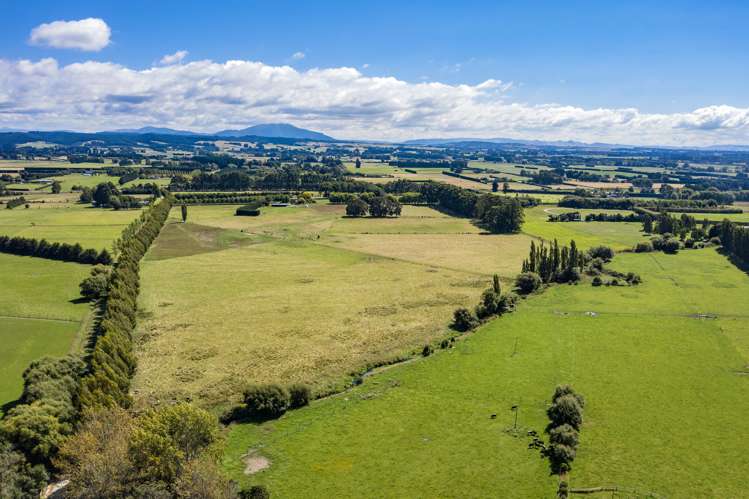 90 Mcgifferts Road Sefton_18