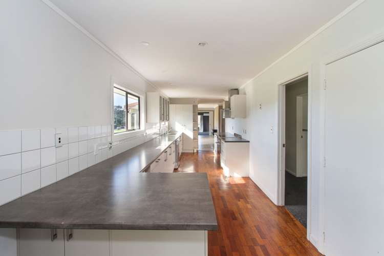 372 Horseshoe Bush Road Dairy Flat_17