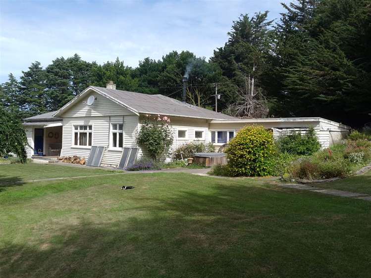 417 Waihaorunga Back Road Elephant Hill_16