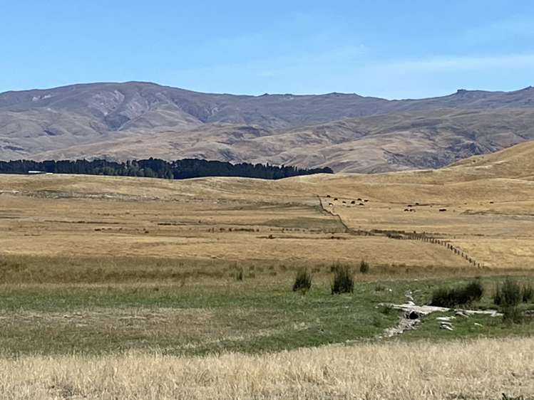 Woolshed Creek Road Saint Bathans_5