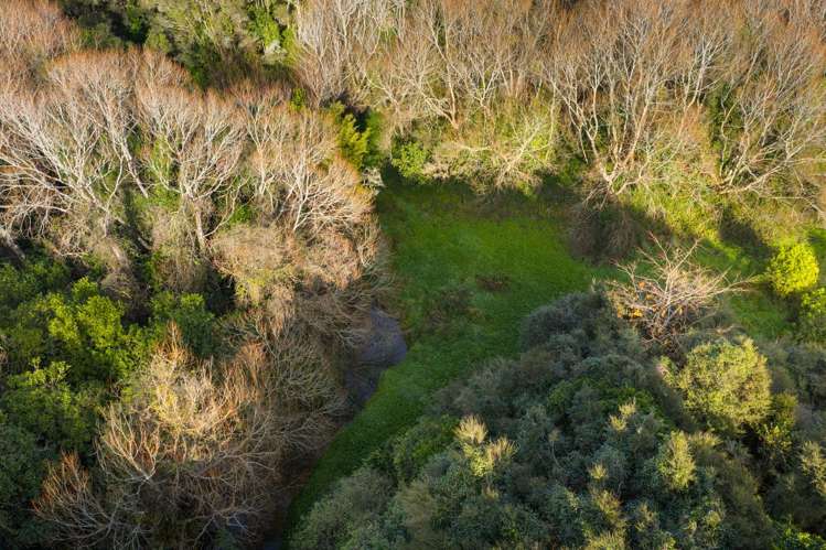 95 Pahiatua Aokautere Road Aokautere_5