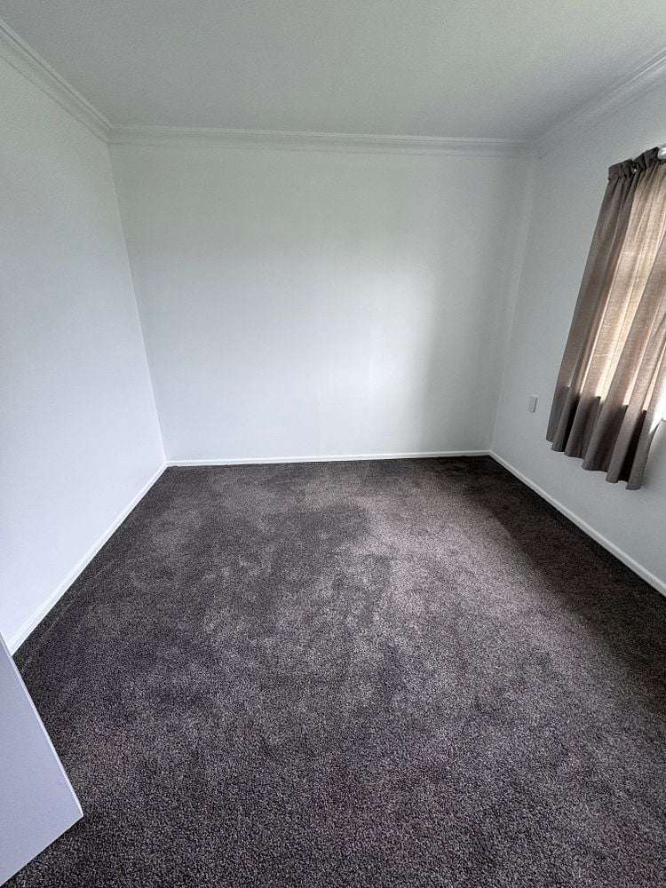 22 Ferguson Street Levin_11