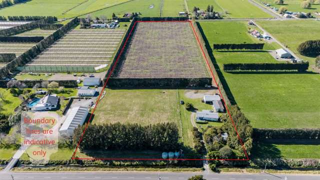 Starter orchard with room to grow