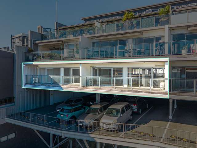 2A and 2B/10 Augustus Terrace Parnell_3