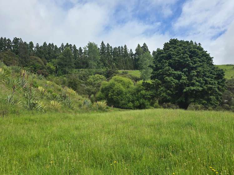 496 Wainui Road Wainui_9