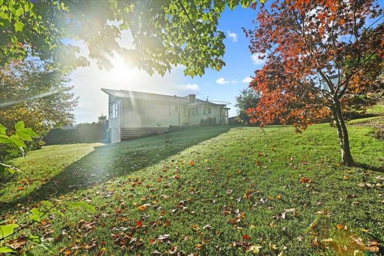 13 Kuku Street Piopio_25