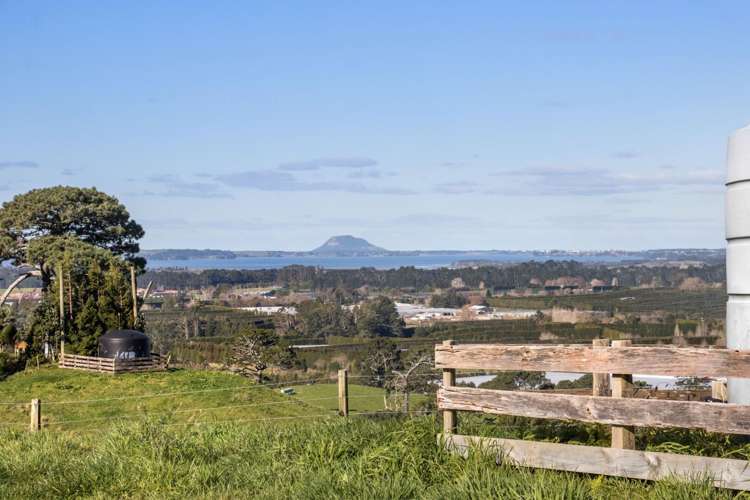 263 Hot Springs Road Katikati_8