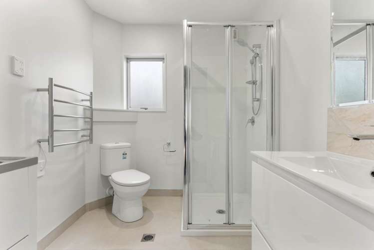 41 Fred Woodward Place Mount Roskill_11