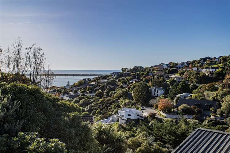 103 Mount Pleasant Road Mount Pleasant_22