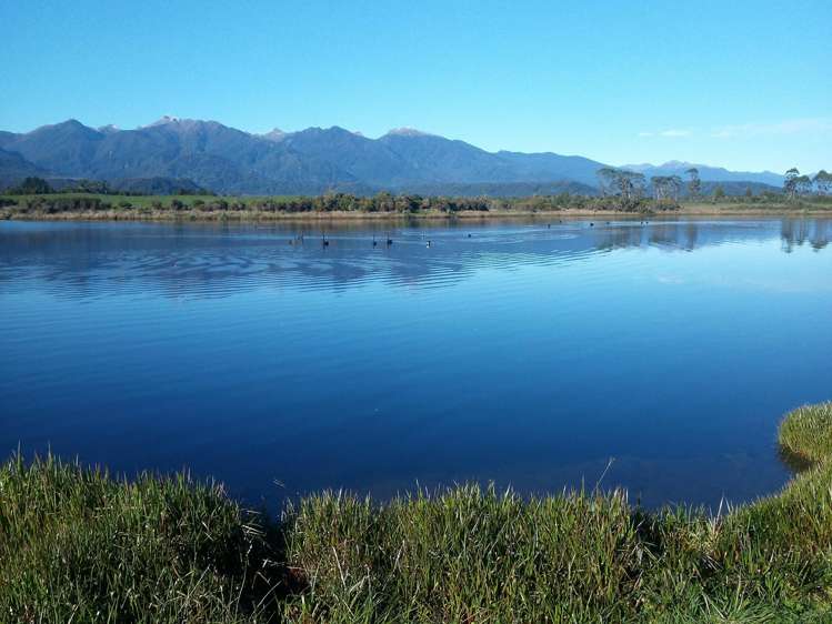 364 Virgin Flat Road Charleston_6