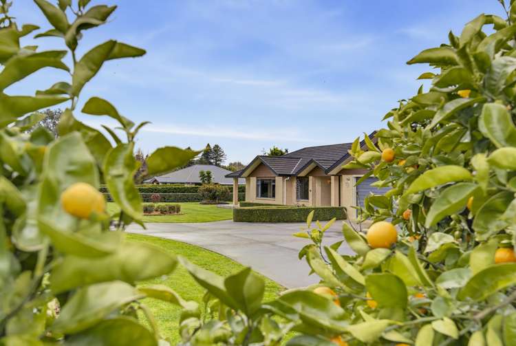 53 Pohutukawa Drive Levin_36