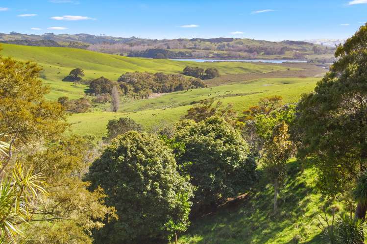 598A Oneriri Road Kaiwaka_12