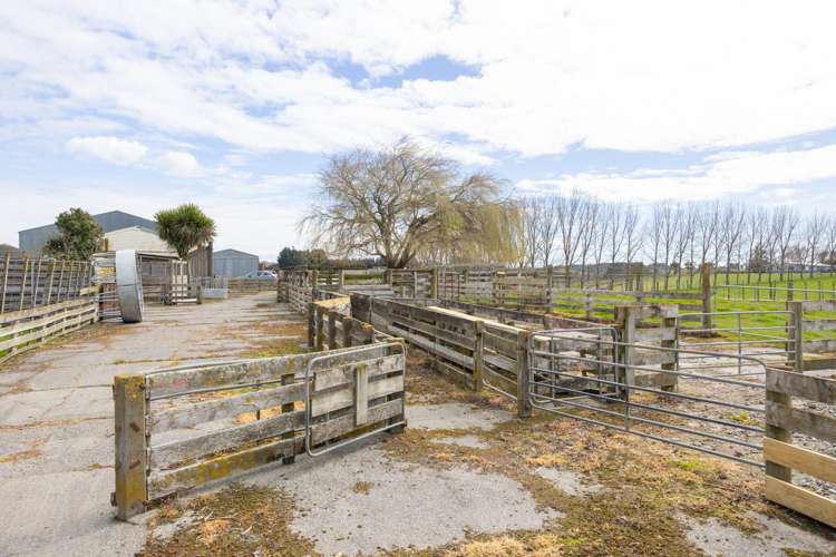 56 Managhs Road Halcombe_29