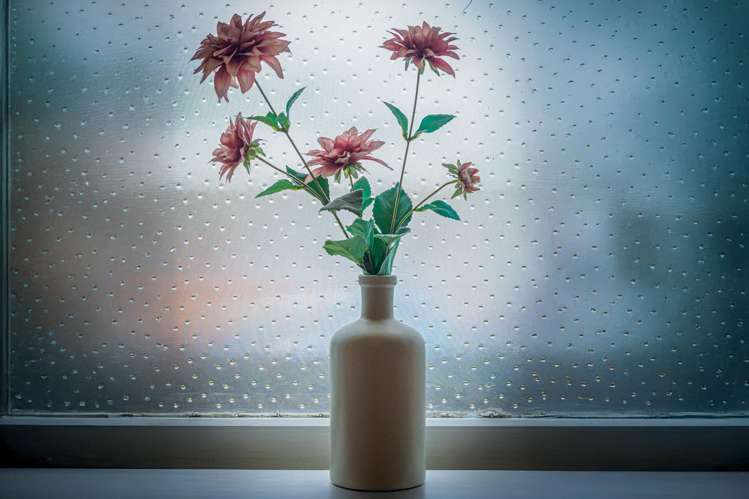 58a Campbell Street Cambridge_18