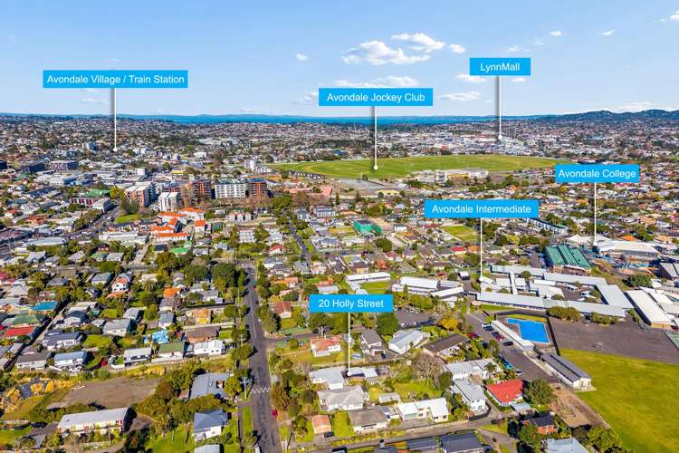 20 Holly Street Avondale_7