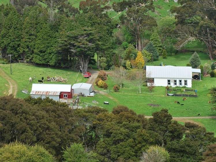 428 West Road Mauriceville_17