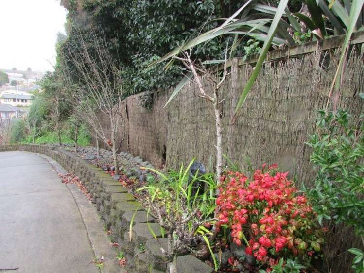 303b Fenton Street Thames_28