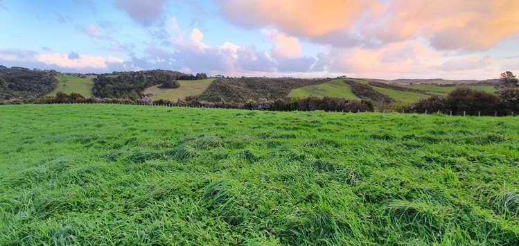 74 Karahiwi Lane Dairy Flat_5