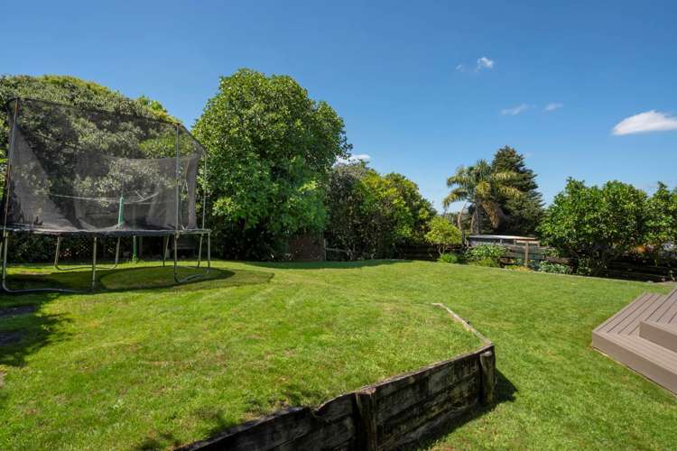 84 Princess Road Bellevue_8