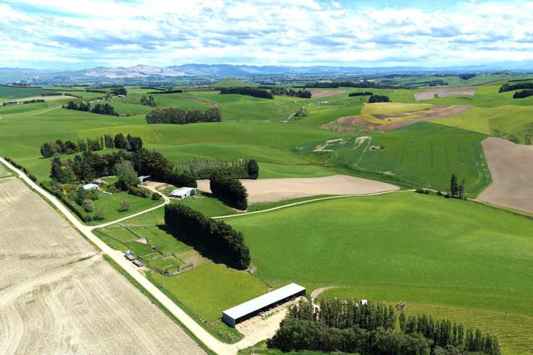 406 Byars Road Chatton North_7