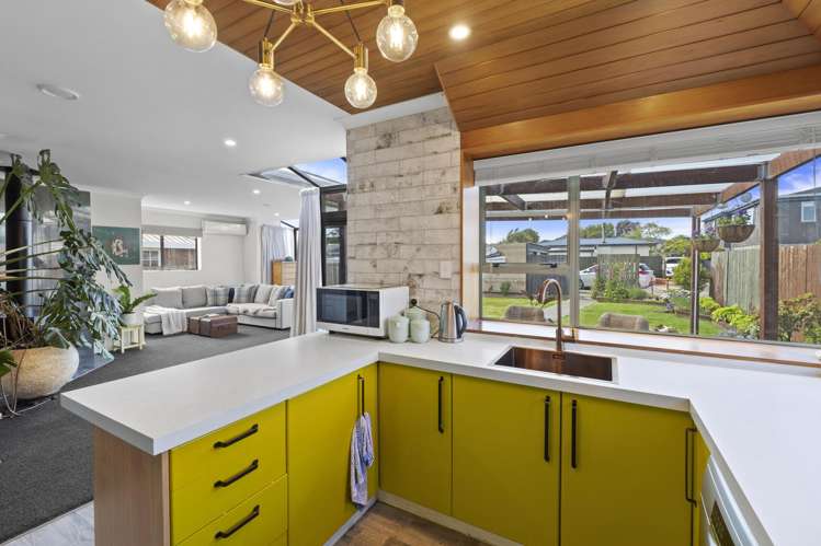 244 Herbert Street Windsor_14