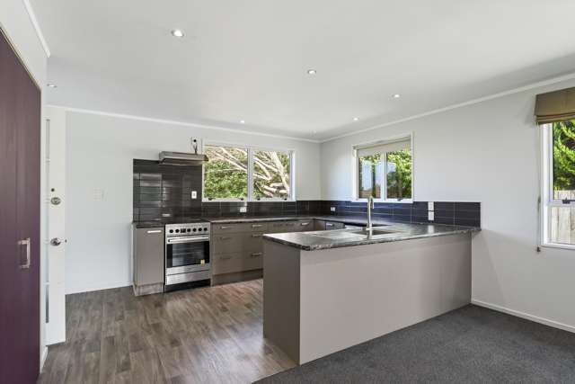 25 Hodgkins Street Pukehangi_3