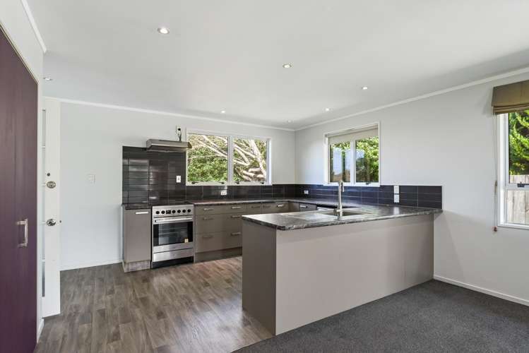 25 Hodgkins Street Pukehangi_3