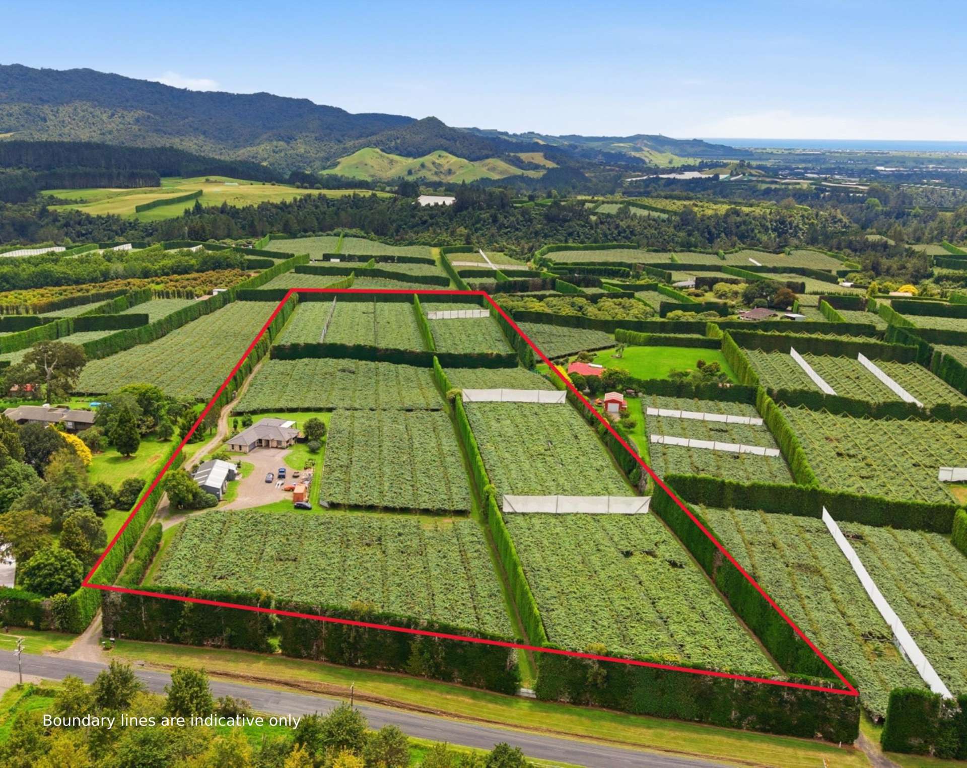 840 No 3 Road Te Puke_0