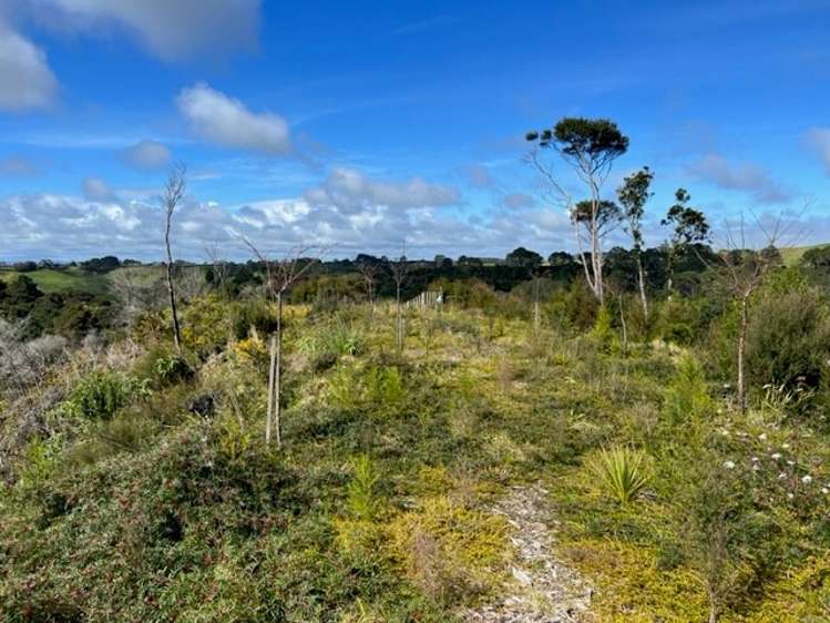 225a Awhitu Central Road_0