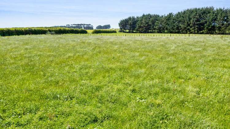 174 South Road Hawera_15