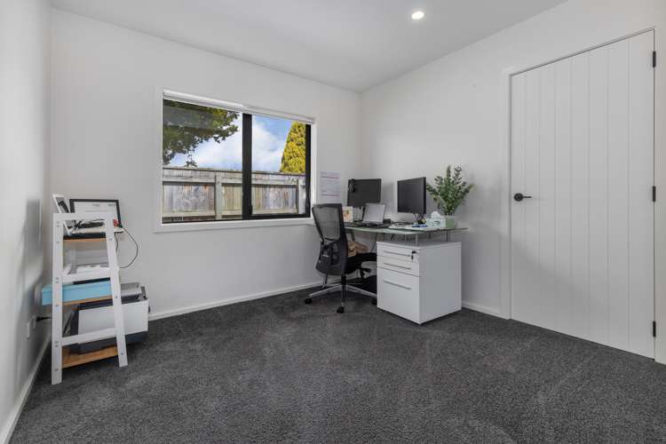 41A Kings Drive Levin_17