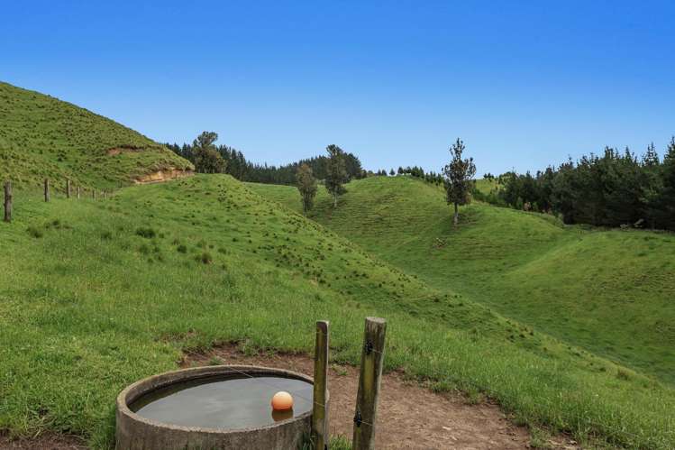 26 Settlement Road Pikowai_11