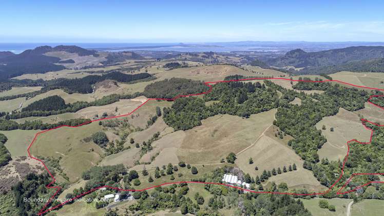 43b Walls Road Waihi_12