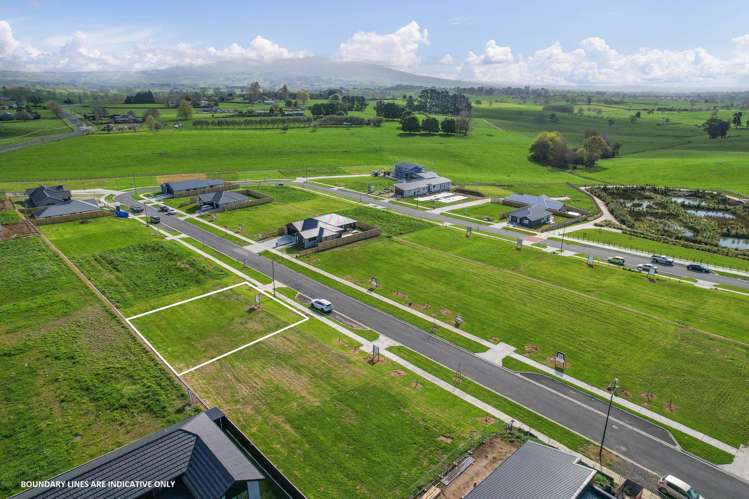 470 Korimako Drive Te Awamutu_2