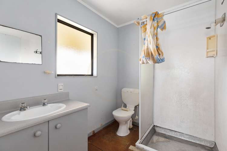 197 Finlayson Avenue Clendon Park_15