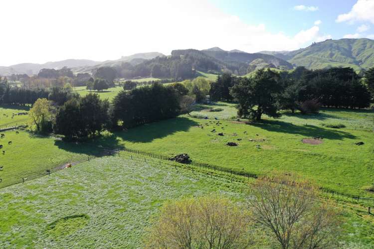 78 Waituna Road Pahiatua_16