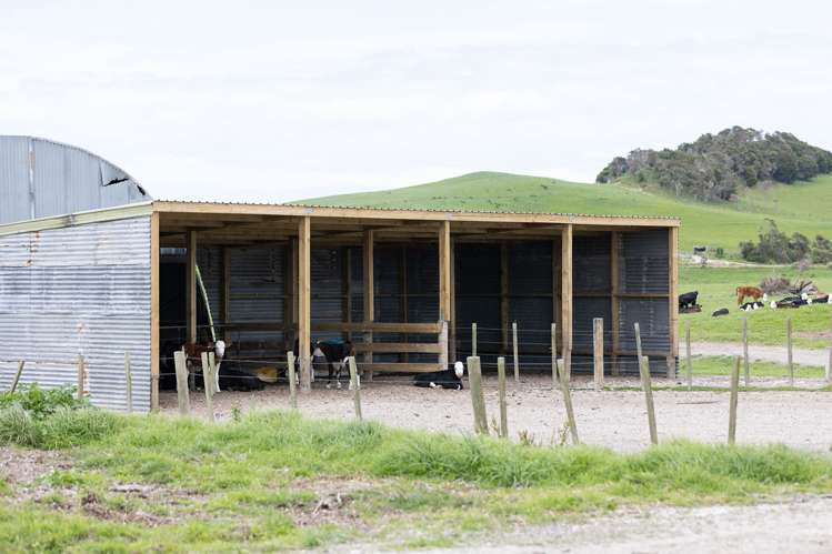 220 Blong Road Ruawai_17