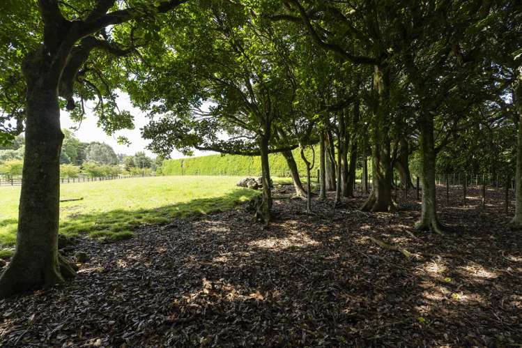 37 Kara Road Maungatapere_37