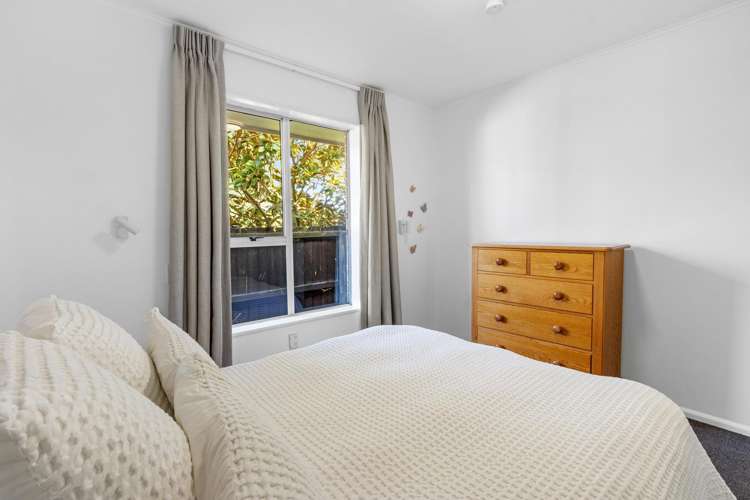 15 Wingate Street Redwood_16