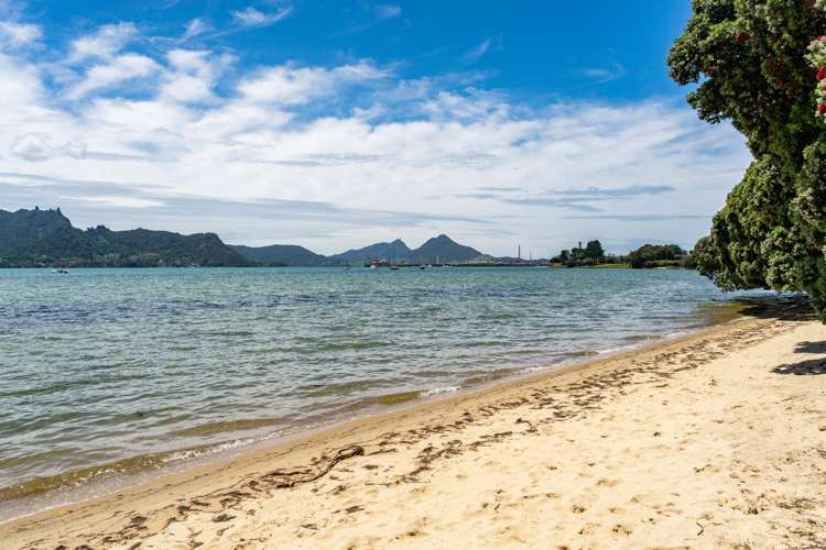 152 One Tree Point Road One Tree Point_17