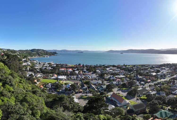 29 Dundas Street Seatoun_5