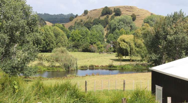 893E Puketona Road Kerikeri_4